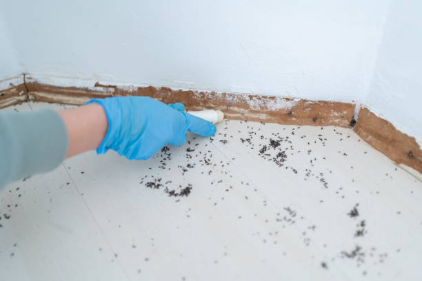 Best Pest Prevention Services  in Ocean Acres, NJ